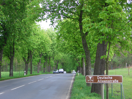 Deutsche Alleenstraße