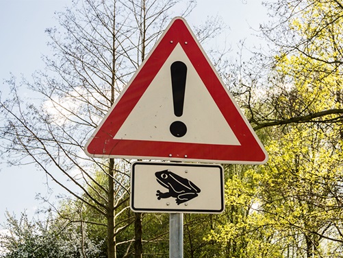 Verkehrsschild Achtung Kröten