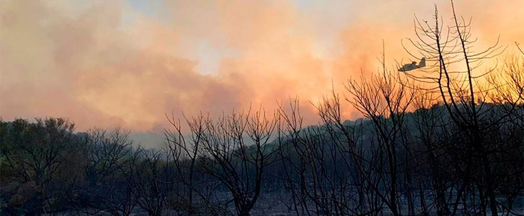 Waldbrand in Sardinien