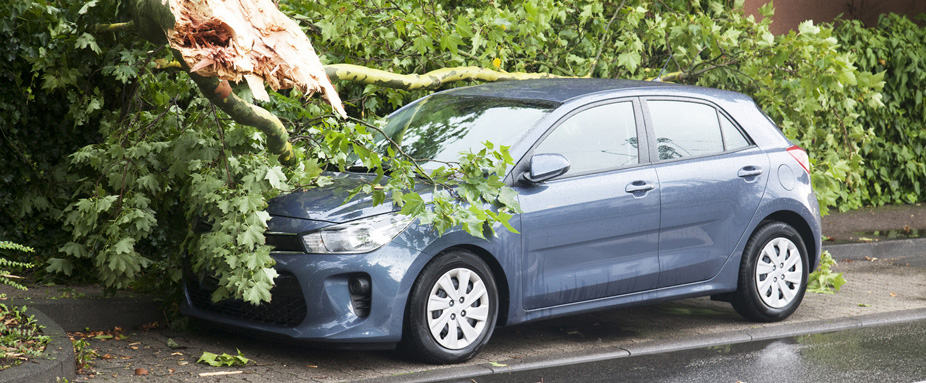 Schadenfall, Auto, Straße, Wind, Wetter, Baum, Unfall