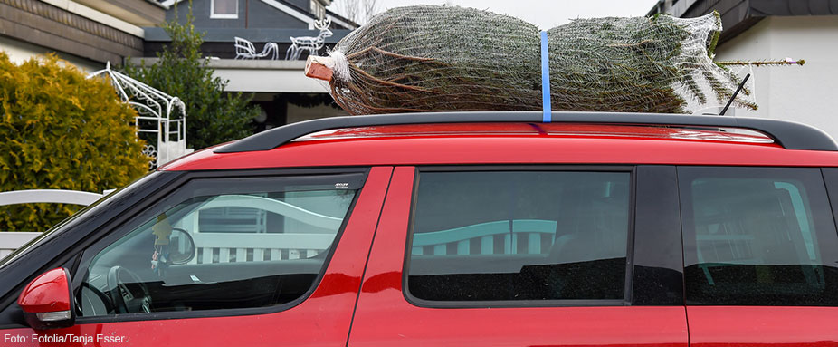 Weihnachtsbaum, Christbaum, Transport