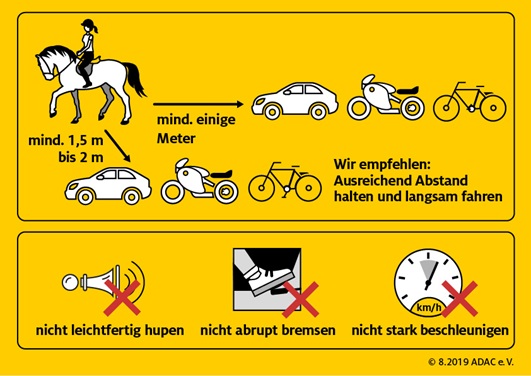 Pferde im Straßenverkehr | ADAC