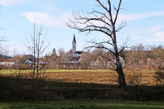 Dasing Panorama