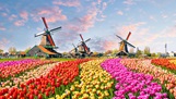 Zaanse Schans