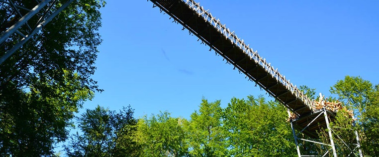 Baumwipfelpfad in Bad Iburg von unten
