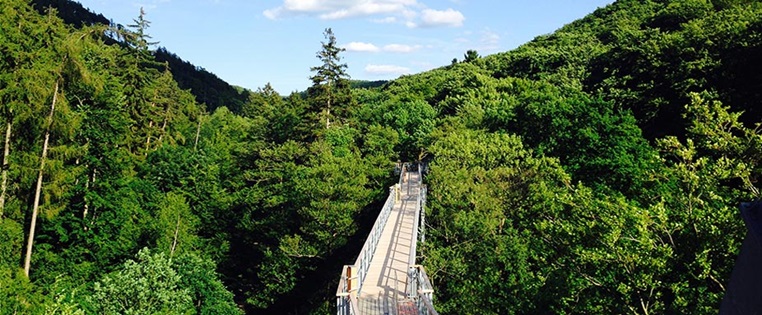 Weg auf dem Baumwipfelpfad im Harz