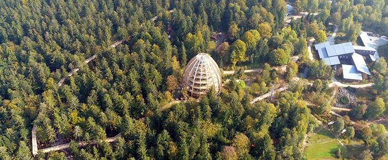 Luftaufnahme des Baumwipfelpfads in Neuschönau im Bayerischen Wald