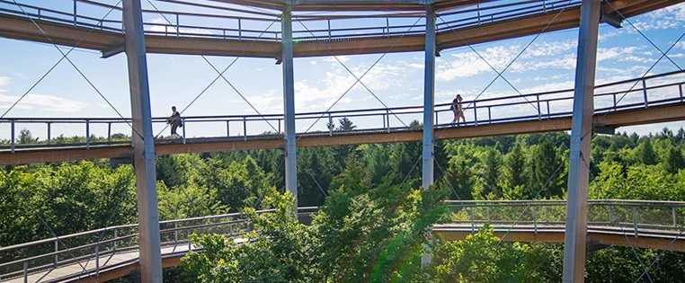 Baumwipfelpfad im Steigerwald