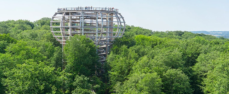 Baumwipfelpfad Adlerhorst auf der Insel Rügen
