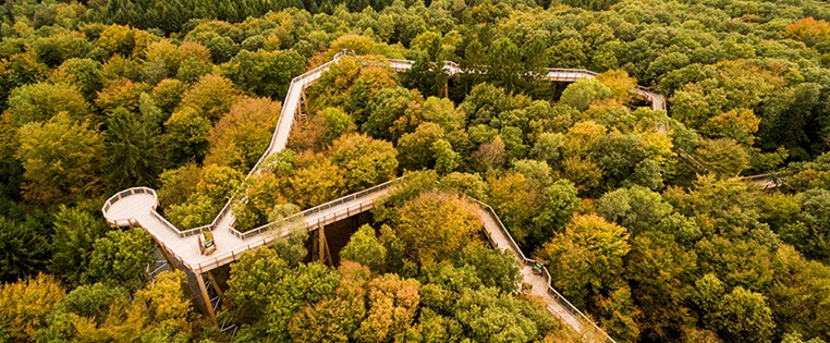 Panarbora Baumwipfelpfad in Waldbröl im Bergischen Land