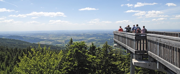 Waldwipfelweg Sankt Englmar in Bayern