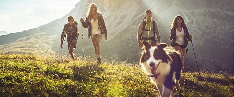 Urlaub mit Hund Tipps für unterwegs und das Reiseziel ADAC