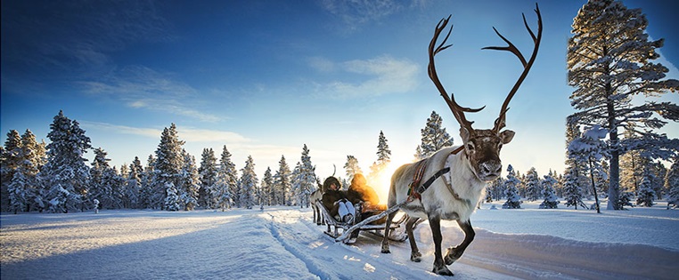 Winterurlaub In Finnland Adac 18