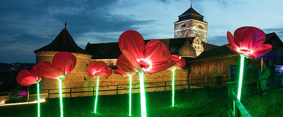 leuchtende Lichtinstallation von Mohnblumen in Kronach