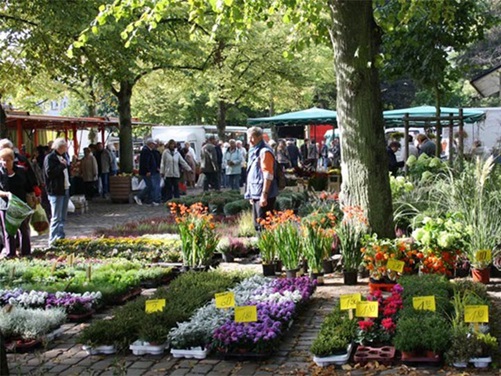 Wochenmarkt Norden