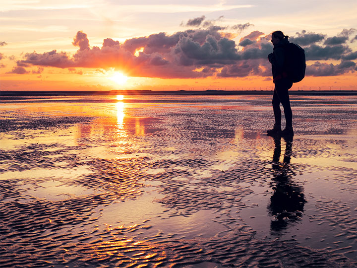Wattenmeer