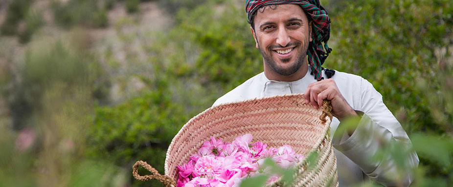Rosenblüten auf der Saiq-Hochebene im Oman
