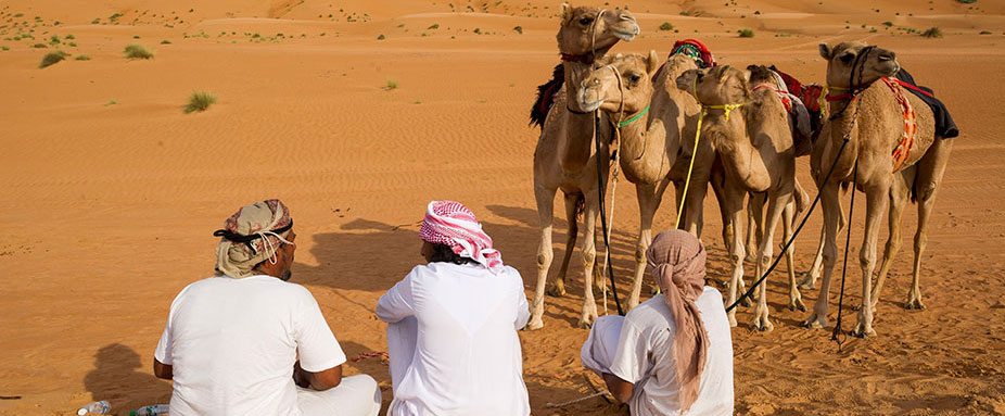 Kamele in der Wahiba-Wüste im Osten des Oman