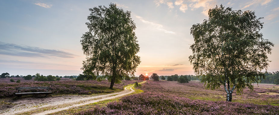 Wanderweg Heidschnucken Weg