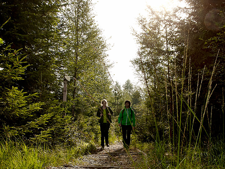 Die 12 Schönsten Wanderwege In Deutschland Adac - 
