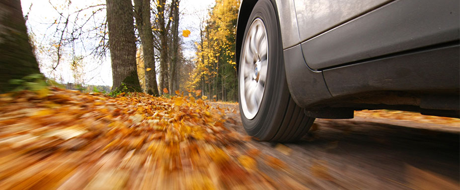 Glitschiges Herbstlaub kann für Autofahrer gefährlich werden