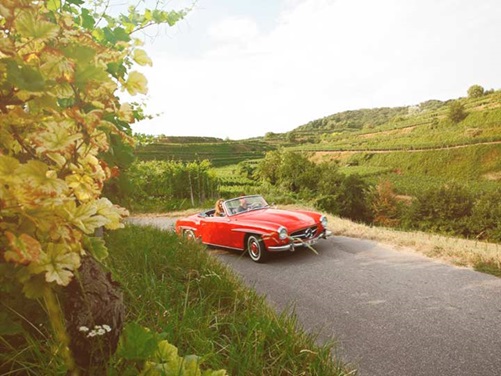 Mit dem Auto durch die badischen Weinberge