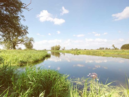 Landschaft in der Mark Brandenburg