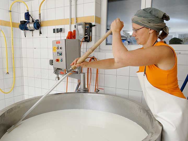 Molkereibetrieb auf der deutschen Milch- und Käsestraße