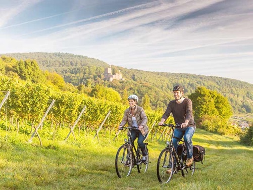 Radfahrer an der deutschen Weinstraße