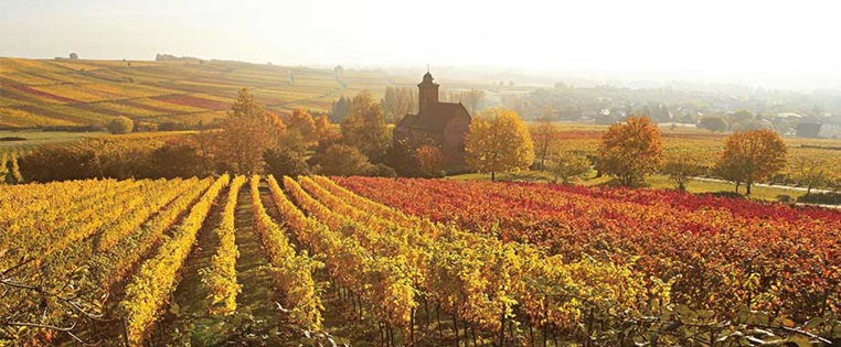 Herbstliche Nikolauskapelle