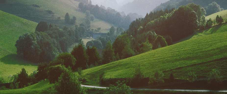 Schwarzwald