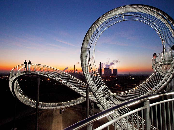 tiger and turtle