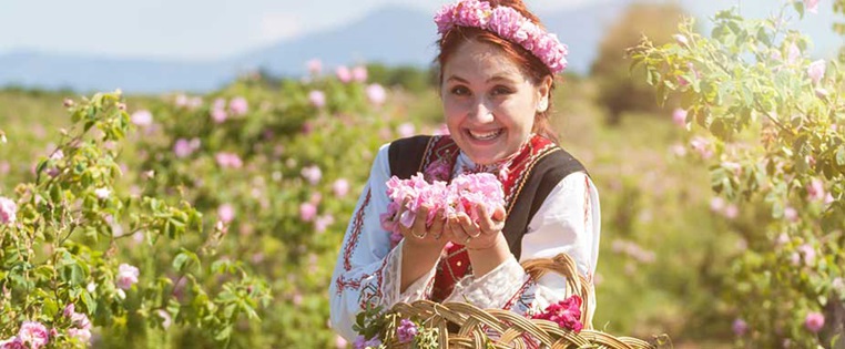 Mädchen hält Rosen in den Händen in Bulgarien
