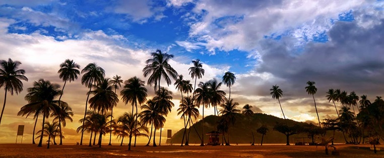 Palmen im Sonnenuntergang am Strand von Trinidad and Tobago