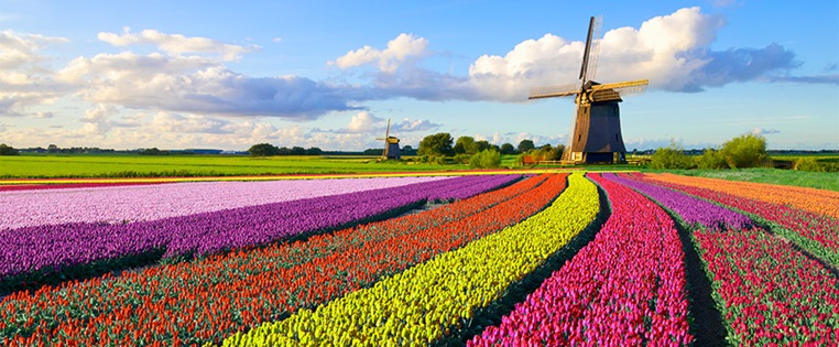 Reiseziel Niederlande Infos Und Tipps Adac
