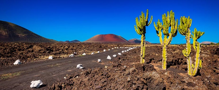 Reisen Spanien Lanzarote, Straße durch die Lavalandschaft mit Kaktus und Vulkan im Hintergrund