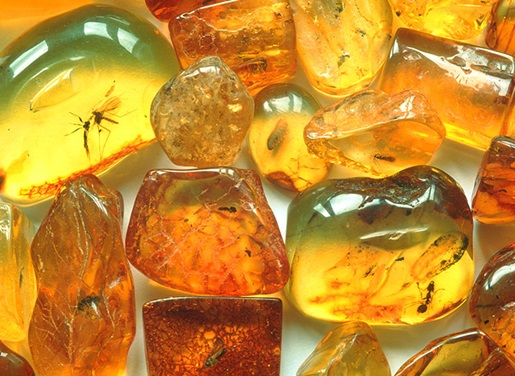 Bernsteine in verschiedenen Größen