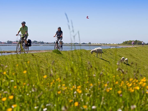 Fahrradfahrer auf dem Ostseeküstenradweg