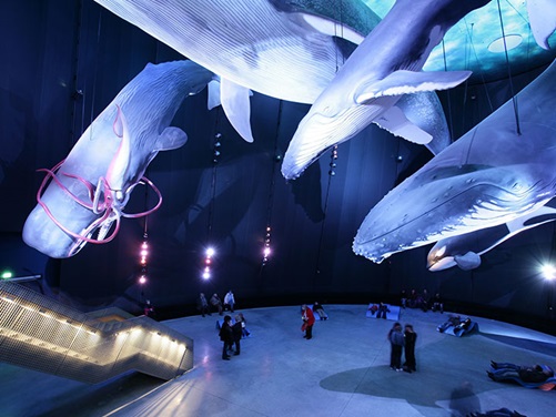 Ozeaneum in Stralsund