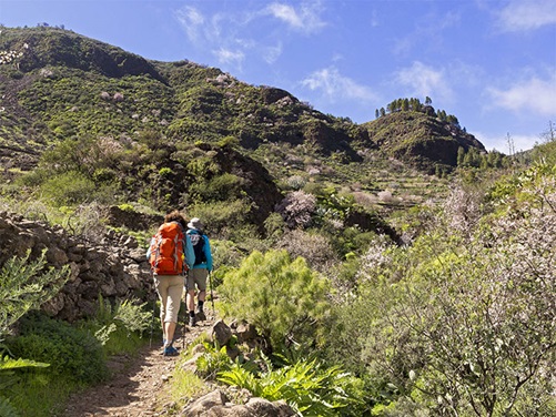 Gran Canaria Barranco de Guayadeque