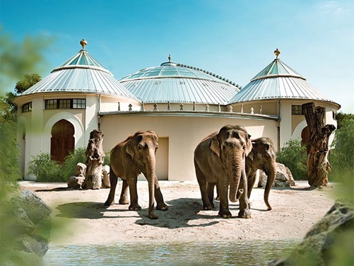 Elefanten im Zoo Hellabrunn