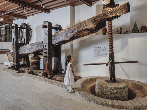 Gardasee Olivenmuseum