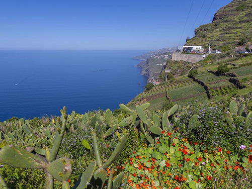 Die Küste Faja dos Padros auf Madeira