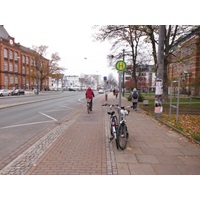 Fahrradfahrer fährt auf Radweg