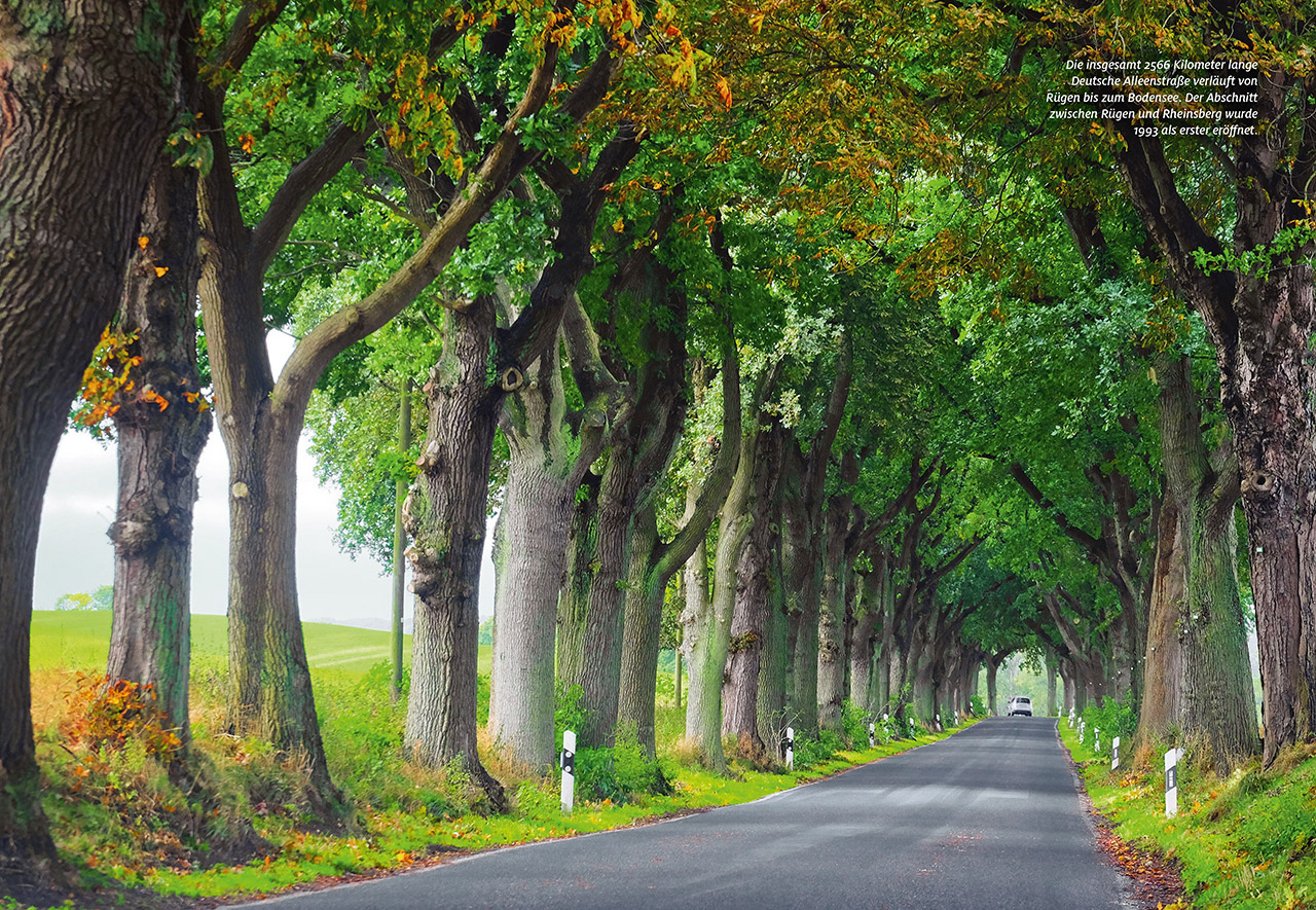 ADAC Roadtrip Mecklenburg-Vorpommern| Leseprobe Seite 9