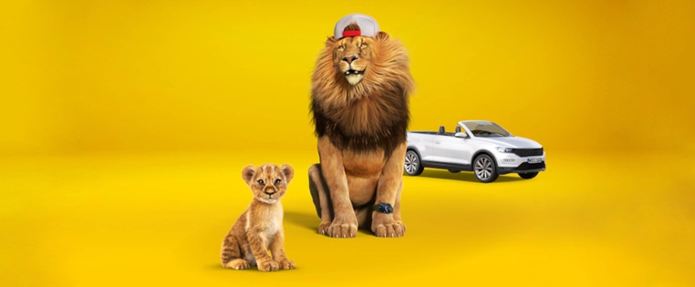 Großer und kleiner Löwe vor Auto