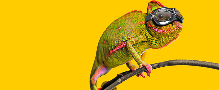 Chamaeleon - Autoversicherung ADAC