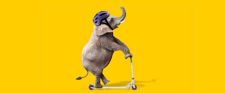 Elefant - Autoversicherung ADAC