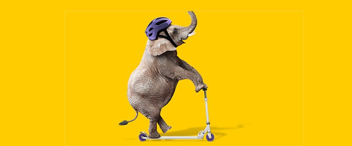 Elefant - Autoversicherung ADAC