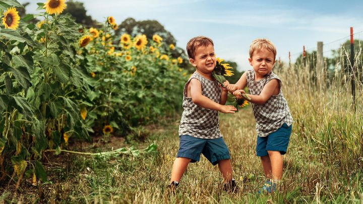 Zwei streitende Kinder auf Sonnenblumenfeld - Rechtsschutzversicherung ADAC